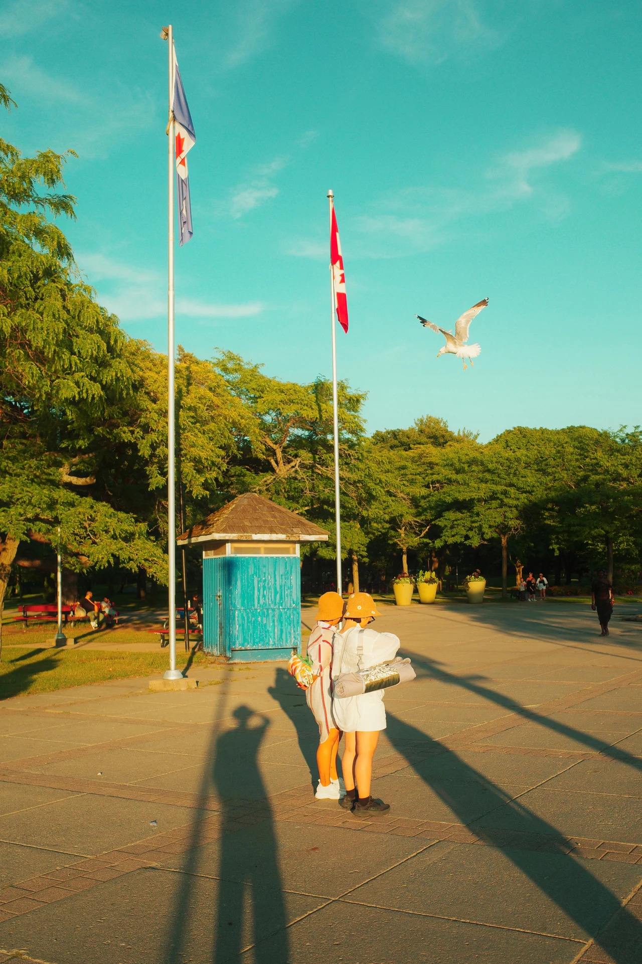 A gull suspended above two people in golden evening light